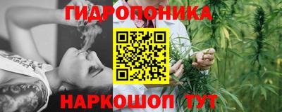 мяу мяу мука Лесосибирск