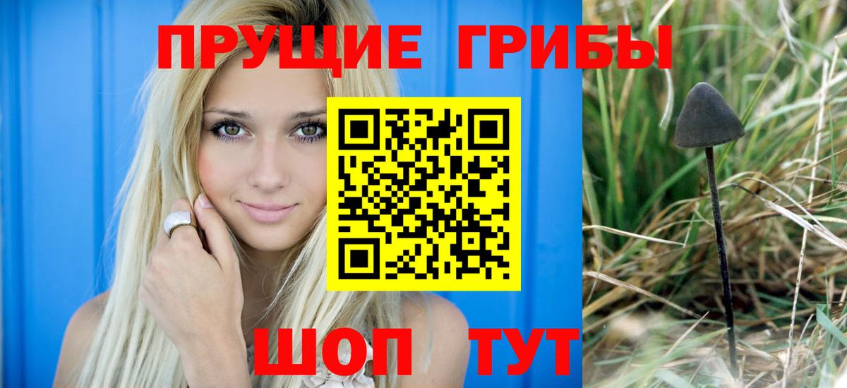 Галлюциногенные грибы Psilocybine cubensis  Вход с VPN  Галлюциногенные грибы прущие грибы  Усть-Лабинск 