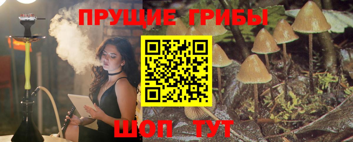 Галлюциногенные грибы Psilocybine cubensis Усть-Лабинск